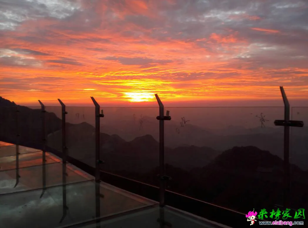 181104zbbb6oozoygo2z22.webp