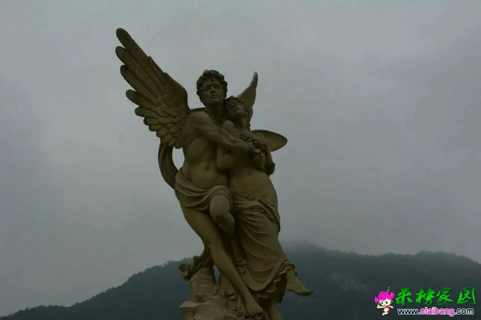 201209r05bt58g91t0gog3.webp