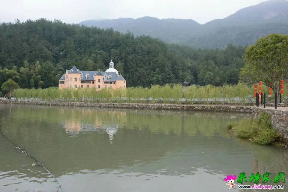 201209y0wwafu88awwfvv8.webp
