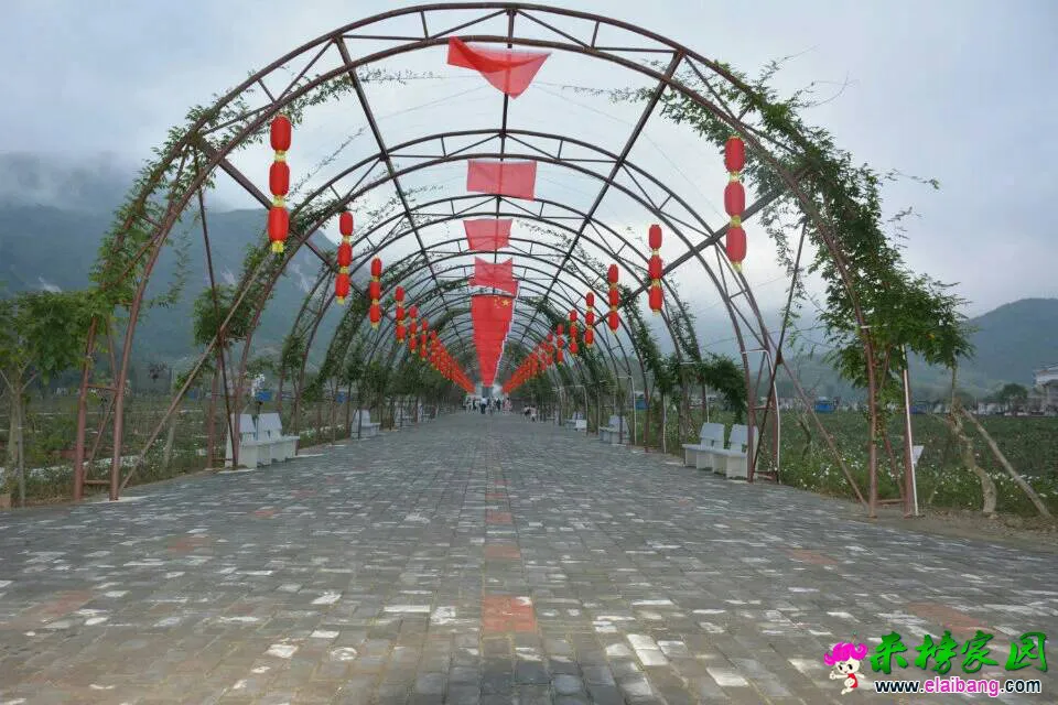 201210l3bxobhizhzgxv3a.webp