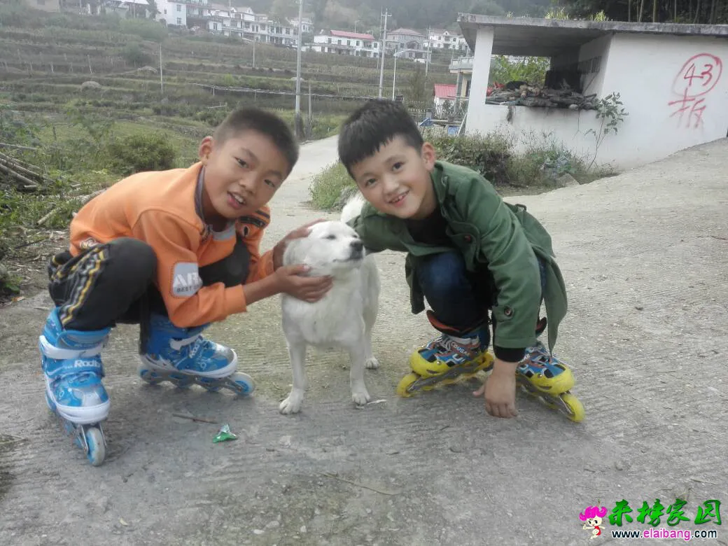 172538lzxp3m329vz7m6ff.webp