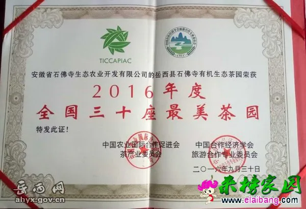 2016102008070864.webp