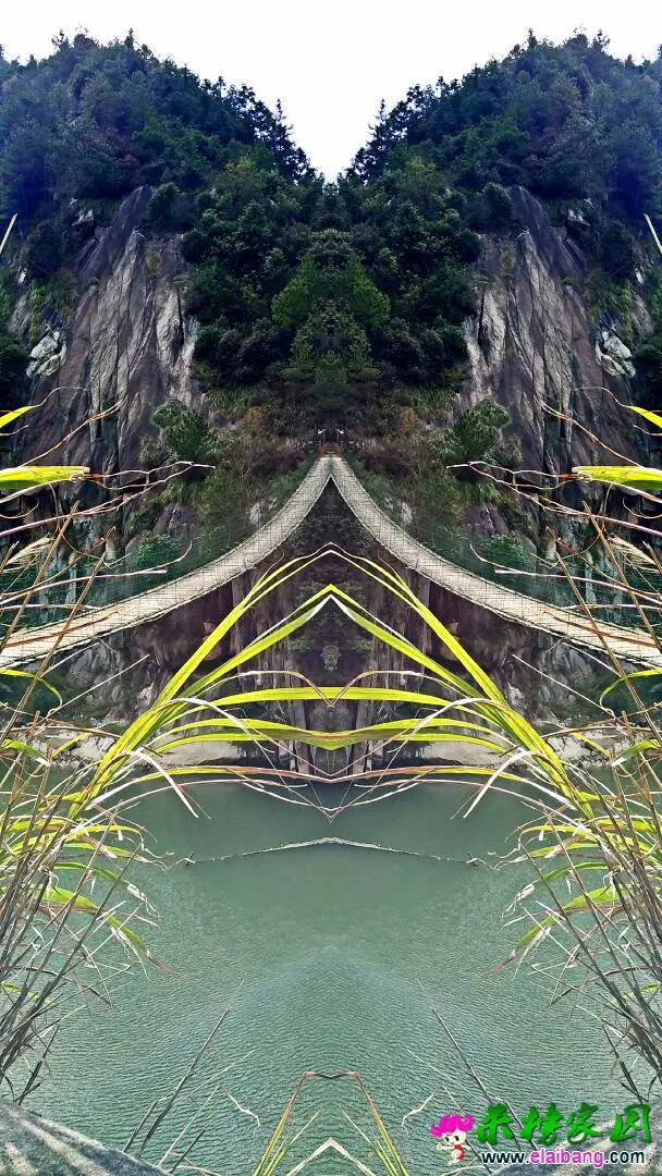 173038f9z8uuxoxu8igd7s.webp