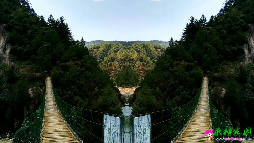 173038xg7l84ojo5c3b8bc.webp