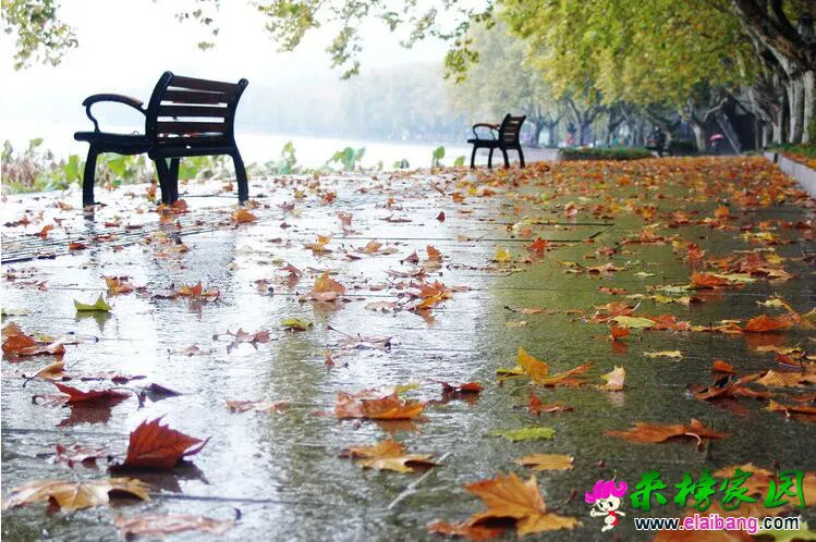 QQ截图20161021200427.webp