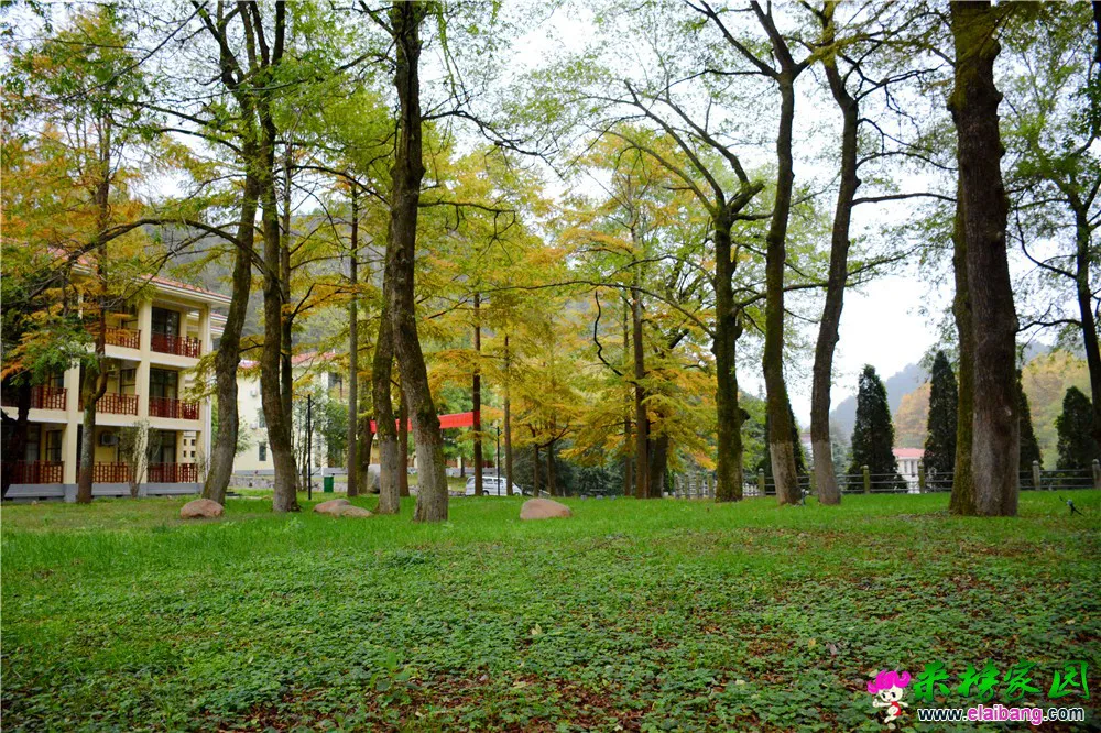 DSC_9988.webp