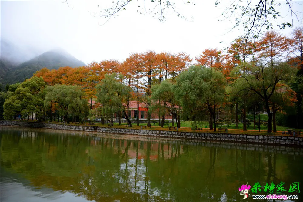 DSC_9993.webp