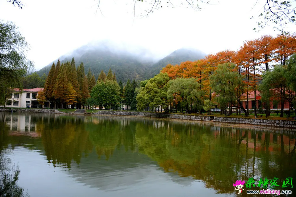 DSC_9994.webp