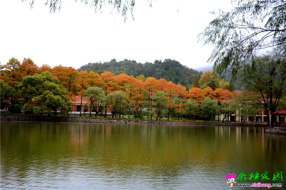 DSC_9999.webp