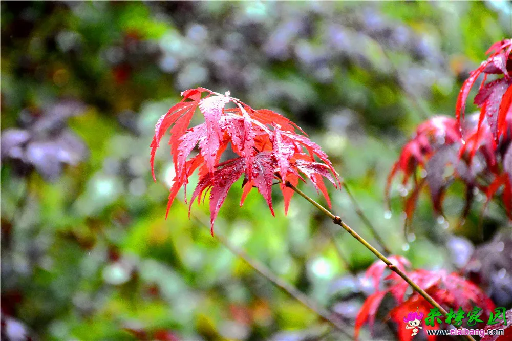 DSC_0047.webp