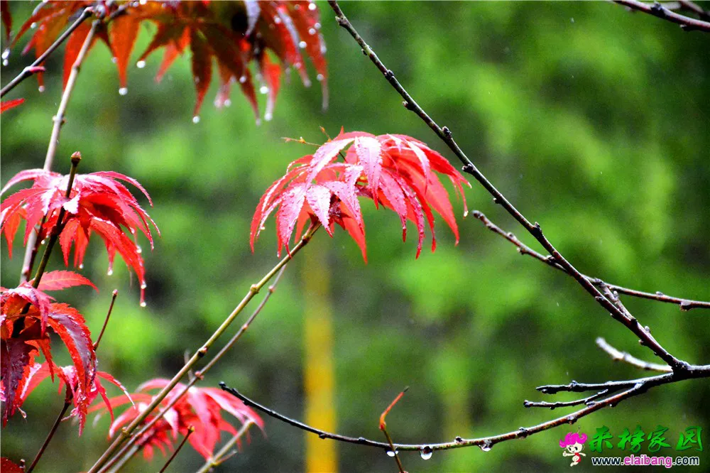 DSC_0049.webp