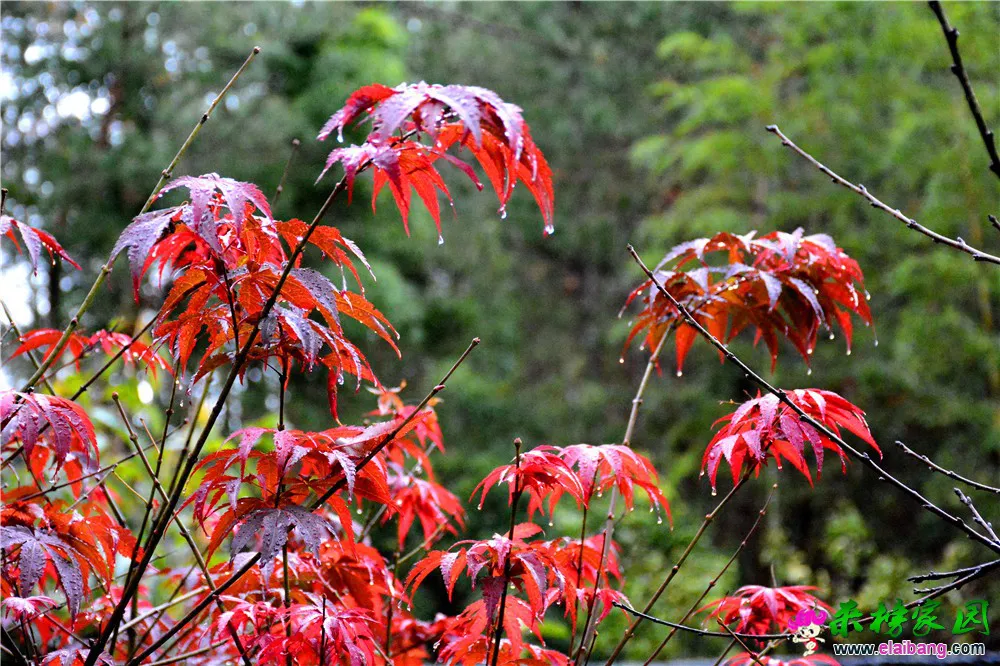 DSC_0054.webp