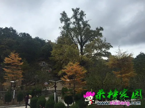 image.webp