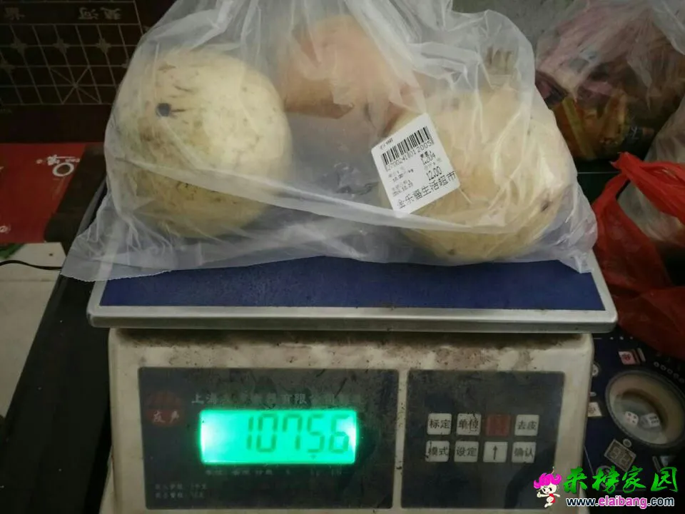 QQ图片20161023200048.webp