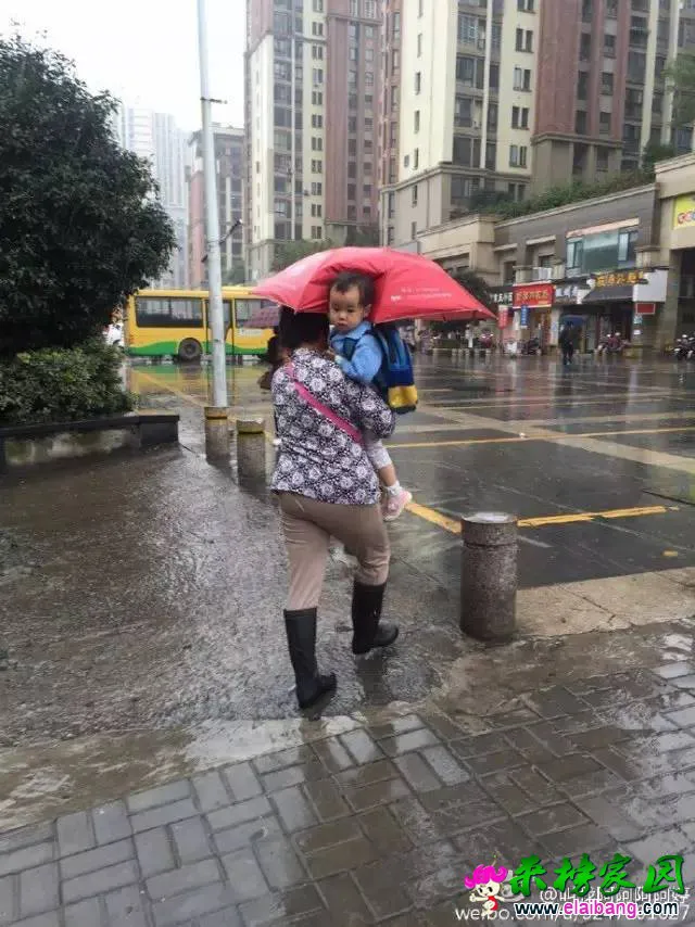 6c44bddfca570812cf84a2377c4191c9.webp