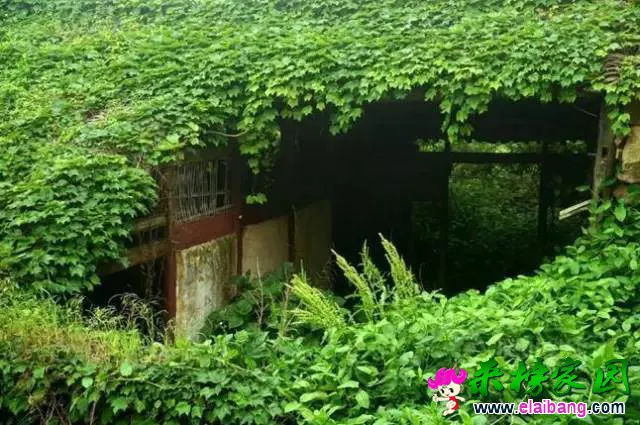 a912b382000a953fd66ae59bb767af6a.webp