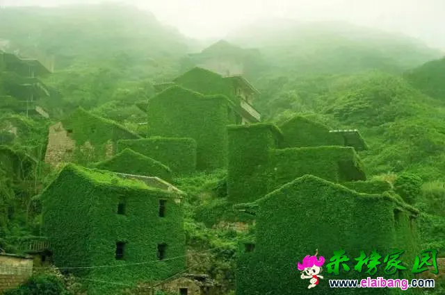60db0c2ff2cefef670a4eb79dc9445df.webp