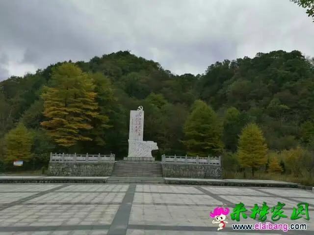 193045r8xys8qye88my8rz.webp