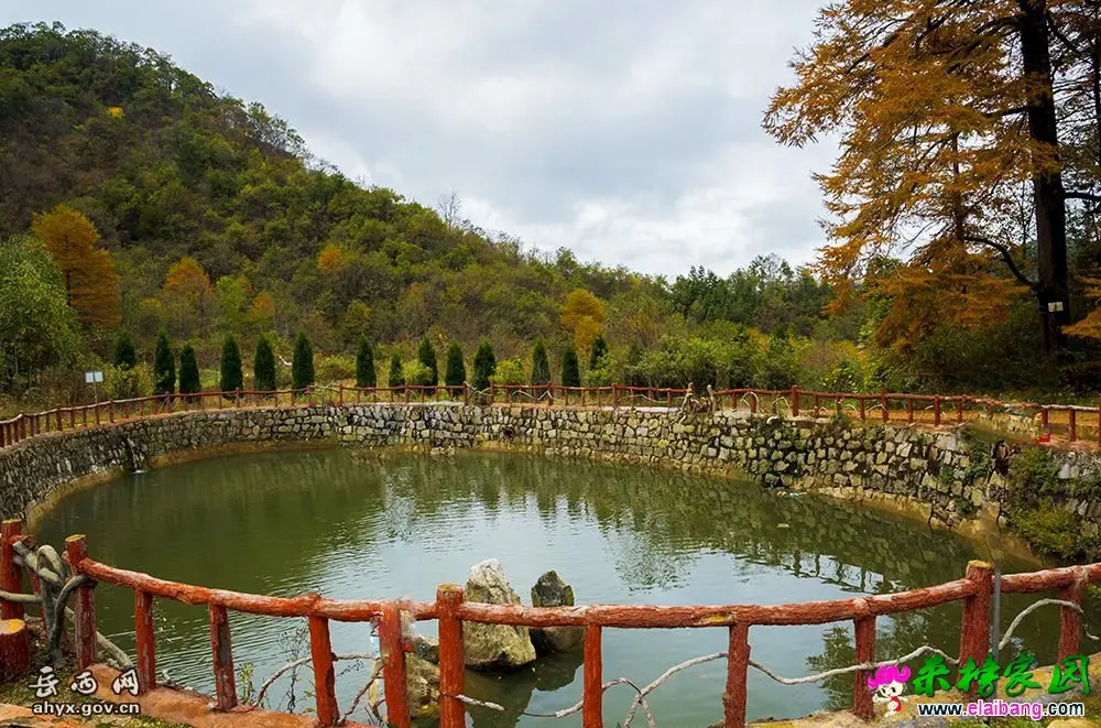 20161026085618108.webp