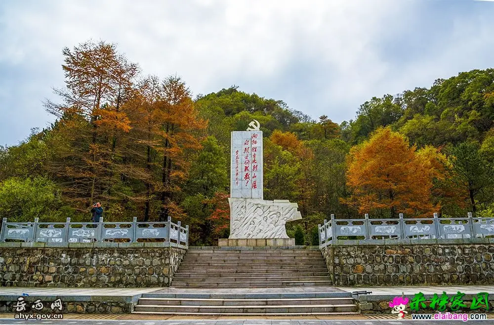 20161026085612721.webp