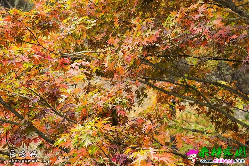20161026085626207.webp