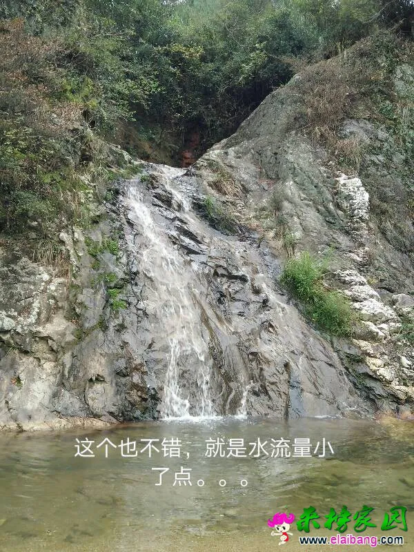 145152e8ovv1qr9qw41oju.webp