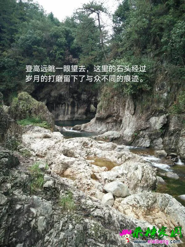 145152m539tn5mmm5dk8kf.webp