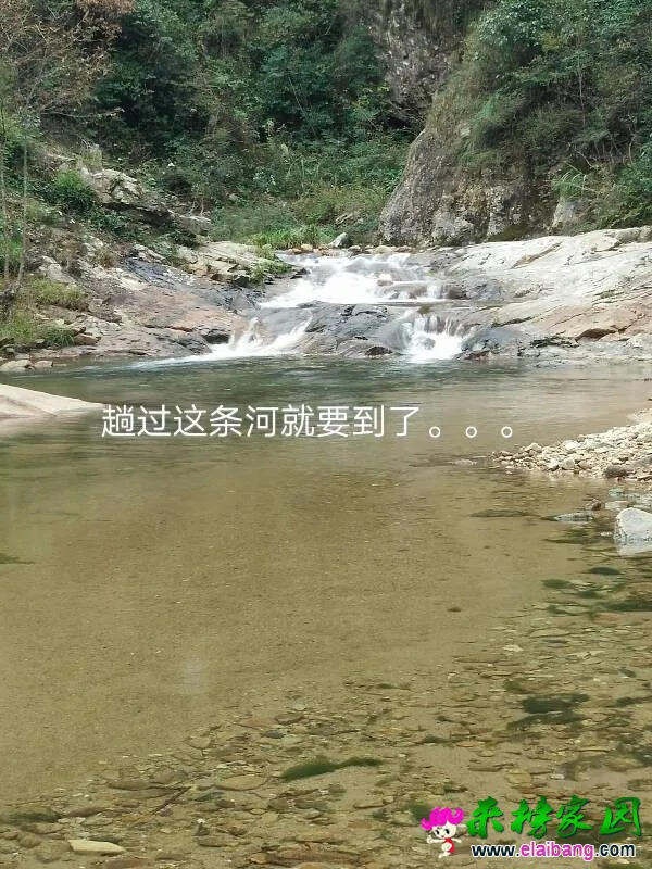 145152uz3bokwltmo2g1kg.webp