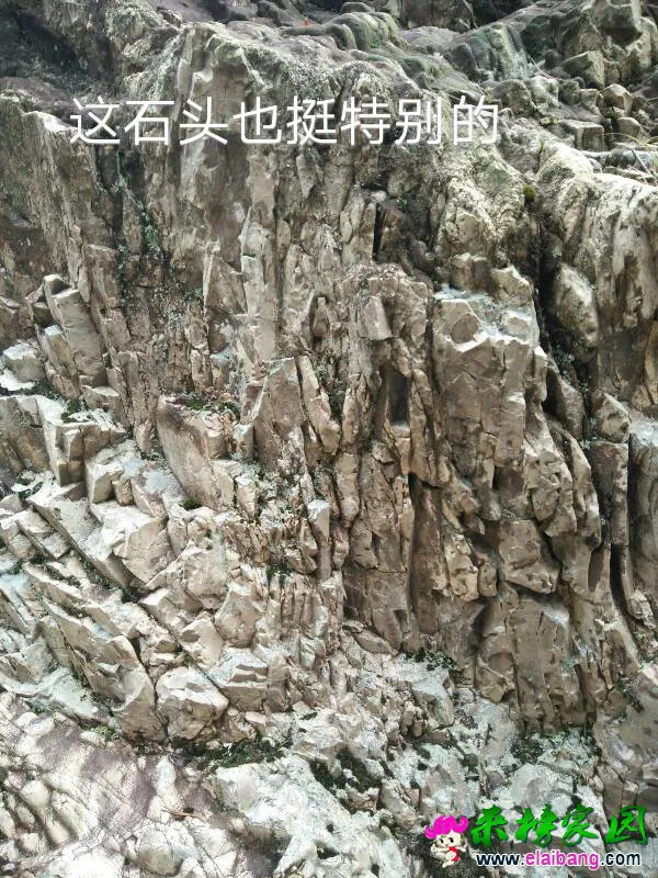 145153om4l2mb6wy4blr4c.webp