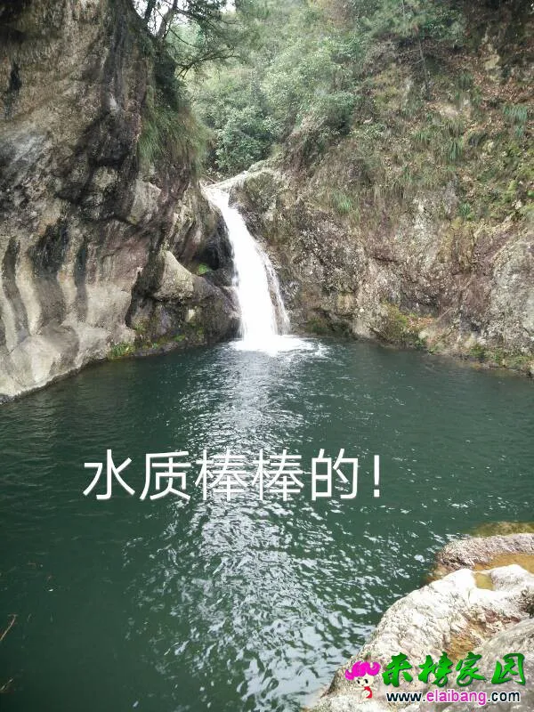 145153r8w8qbtwpqqvqnqb.webp