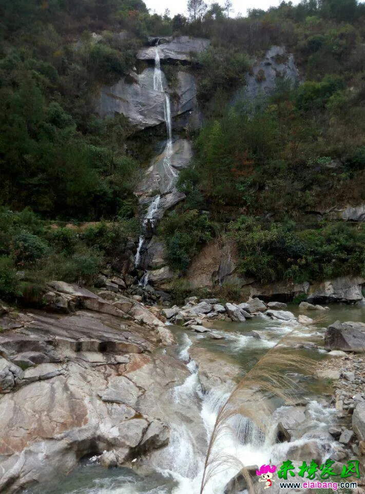 165355cicc0c54j5uijtp1.webp