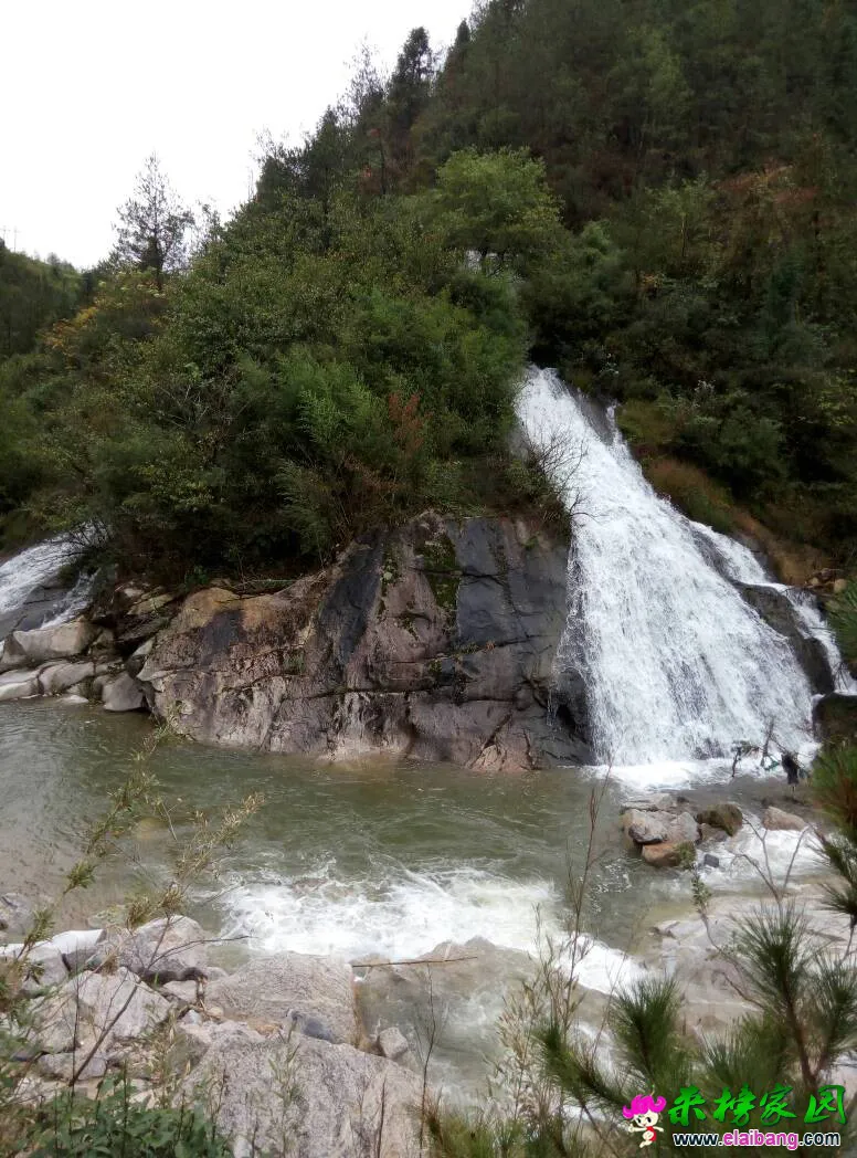 165356wx6g10a0ks9c8mjg.webp