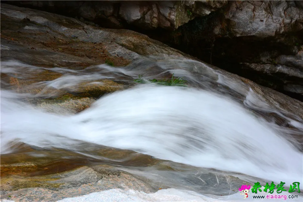 DSC_0423.webp