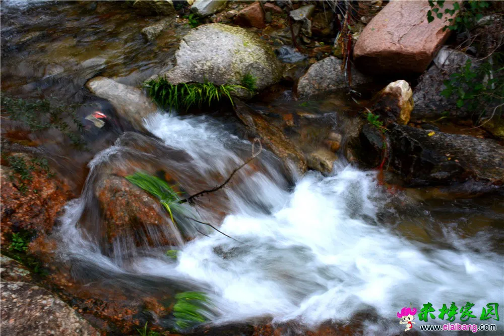 DSC_0431.webp
