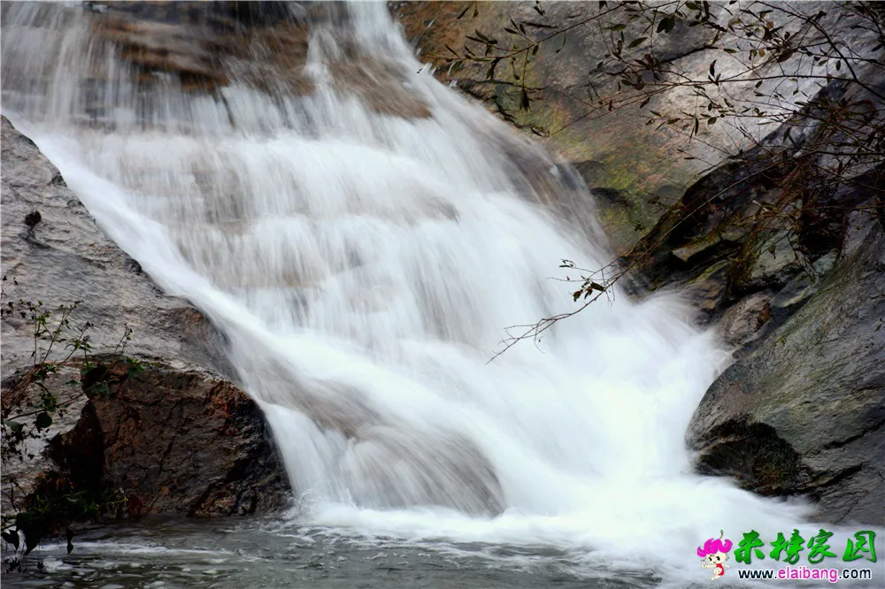DSC_0441.webp
