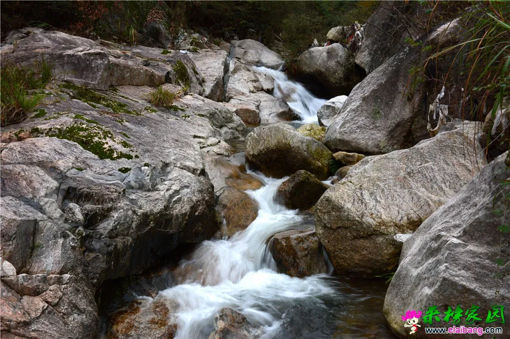 DSC_0454.webp