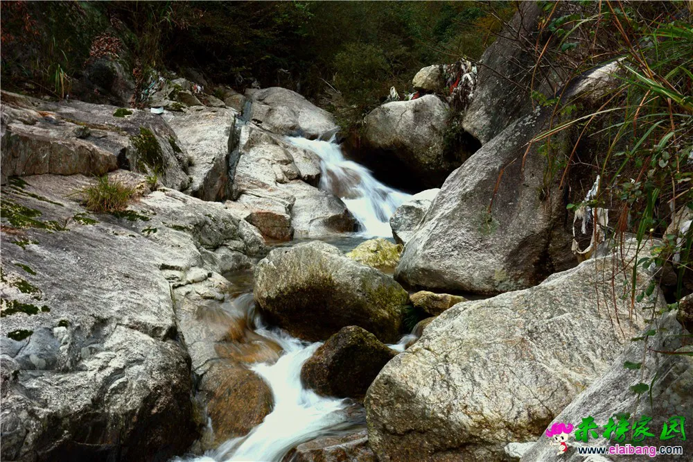 DSC_0456.webp