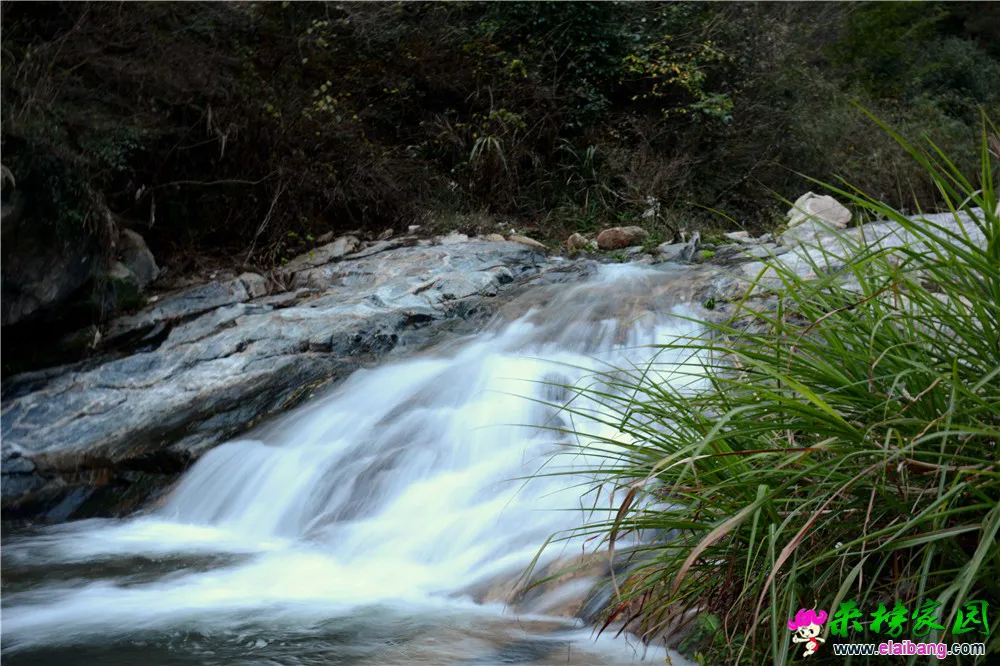 DSC_0505.webp