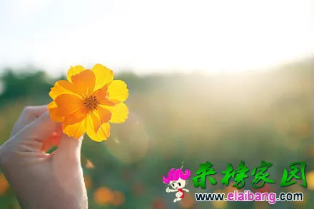 20130214180437_PkxEP.webp