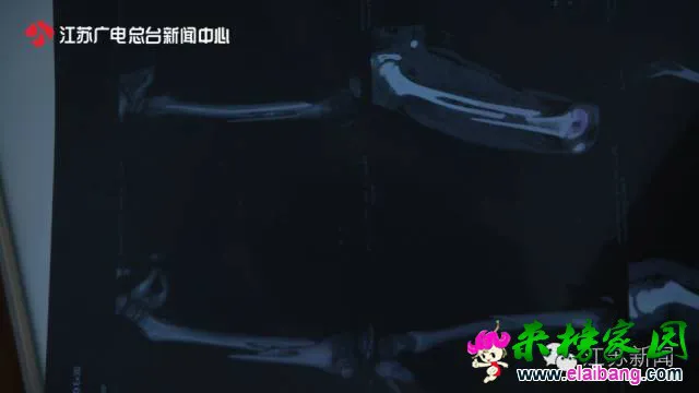 44bb11d511fc47f_w640_h360.webp