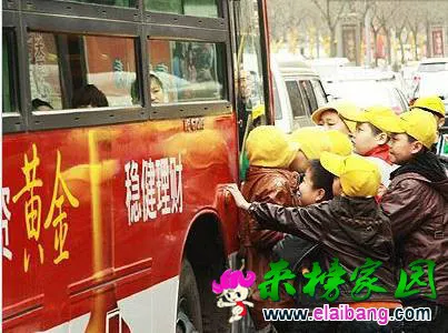 9bad4f5550321a3_w403_h300.webp