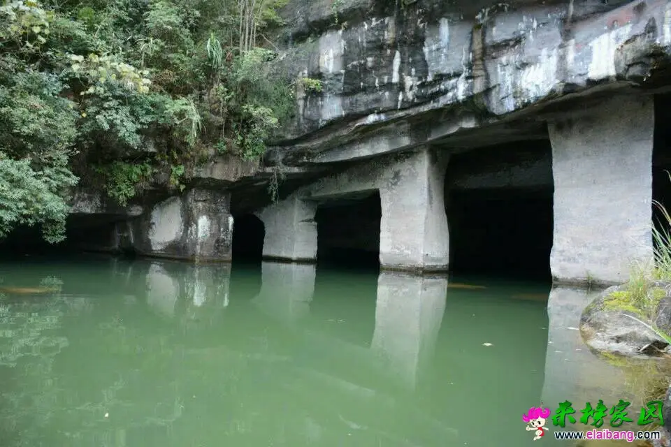 195546gqaoqrfipjo6rrrm.webp