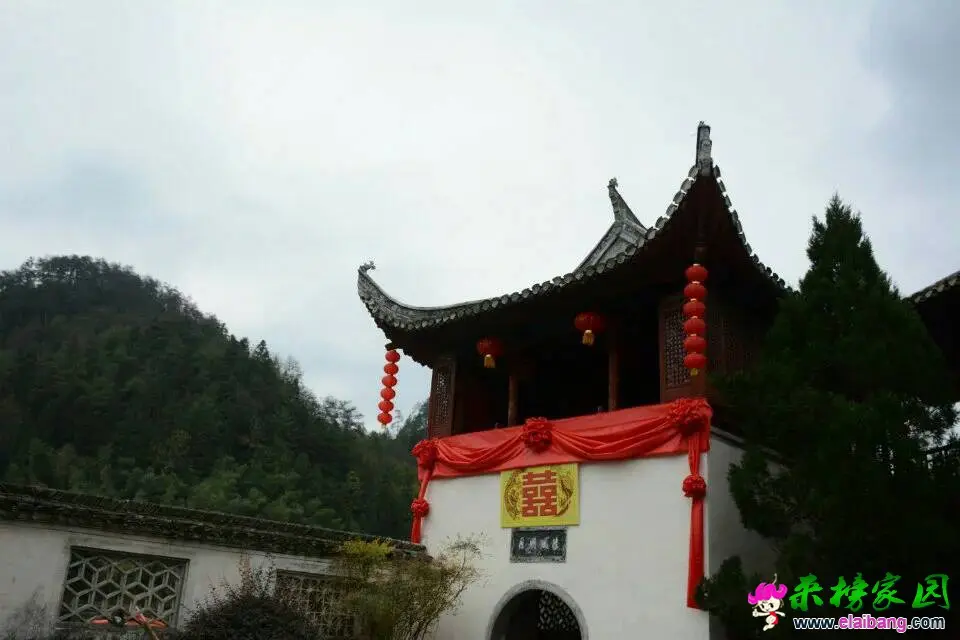 195546ofr8eo582539hnk8.webp