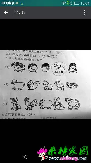180920ioy9s78ofvp7olev.webp