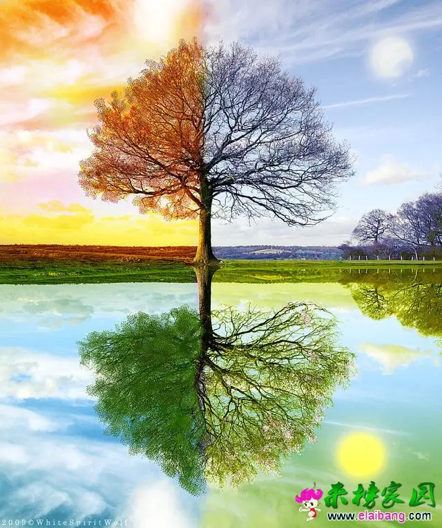 10210004e973ba53442b.webp