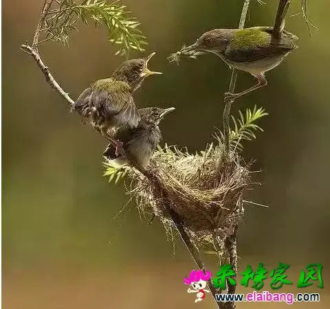 106d0000c30be35e9952.webp
