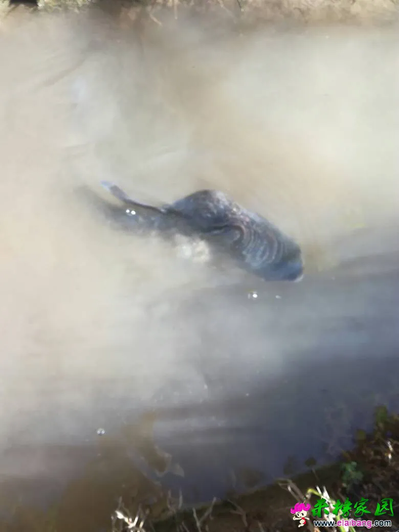 091426lz1c53oczibhfxf5.webp