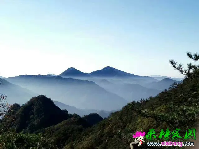 100853cko56dtle5sxlze5.webp