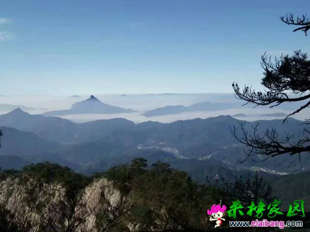 100853hpvq2bfrnb67xmm7.webp
