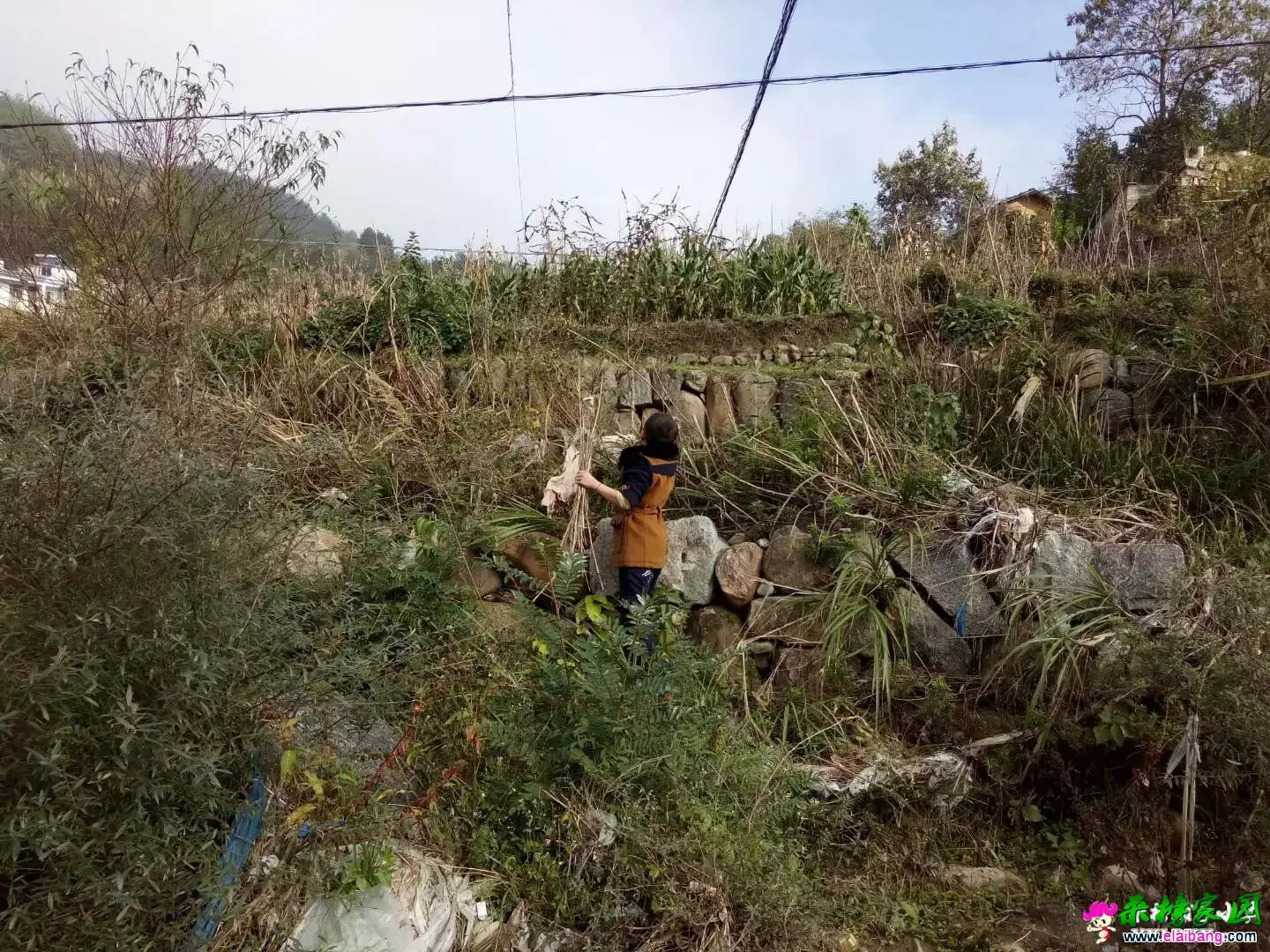 172950p2kj5nuv2kg2tk20.webp
